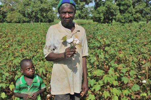 Après le coton, Monsanto cherche à multiplier les OGM en Afrique de l’Ouest