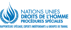 France: des experts de l’ONU dénoncent des restrictions graves aux droits des manifestants «gilets jaunes»